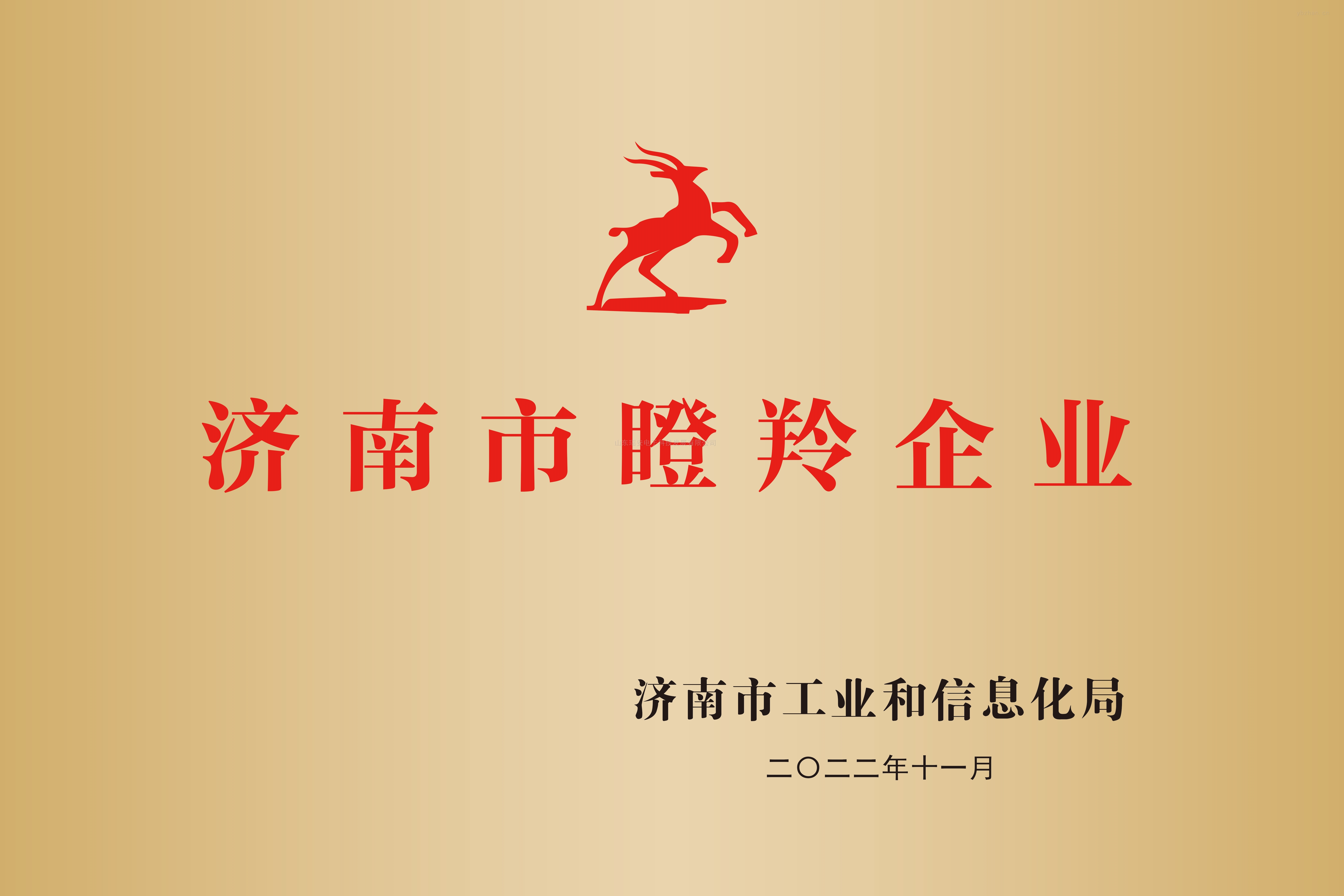 濟(jì)南市瞪羚企業(yè)