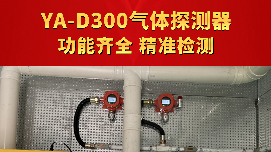 YA-D300氣體探測(cè)器 功能齊全 精準(zhǔn)檢測(cè)